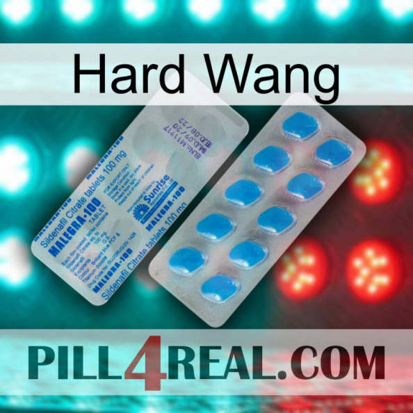 Hard Wang new15.jpg